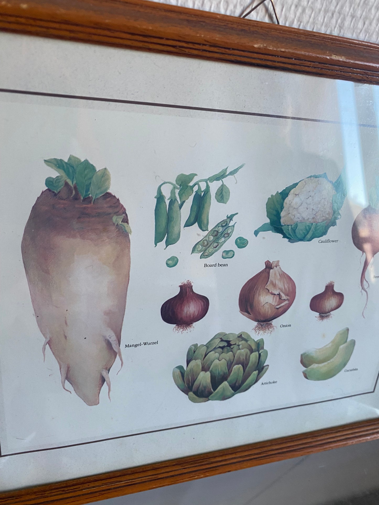 Tableau à légume